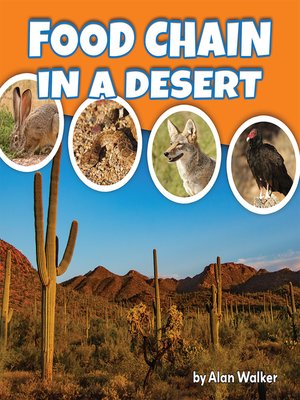 cover image of Food Chain In A Desert